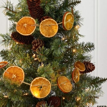 10 ft Dried Orange Slice Garland for Christmas Decor