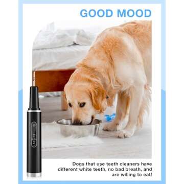 YXFAIRY Ultrasonic Dog Tartar Remover - Safe Teeth Cleaner