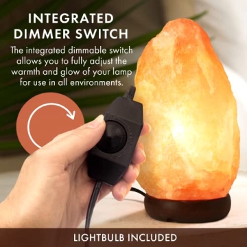 Body Source Himalayan Salt Lamp with Dimmer Switch