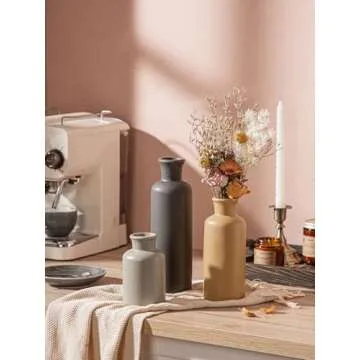 CWLWGO Ceramic Vase Set of 3 for Home Decor