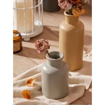 CWLWGO Ceramic Vase Set of 3 for Home Decor