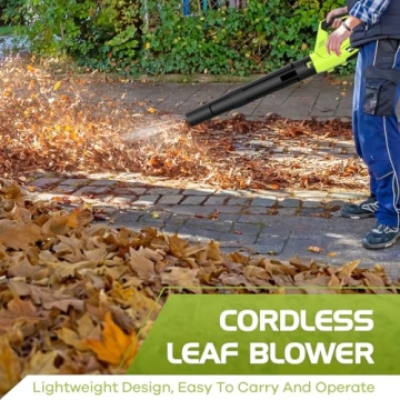 Lightweight Cordless Leaf Blower with 2 Batteries