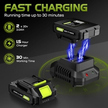 Lightweight Cordless Leaf Blower with 2 Batteries