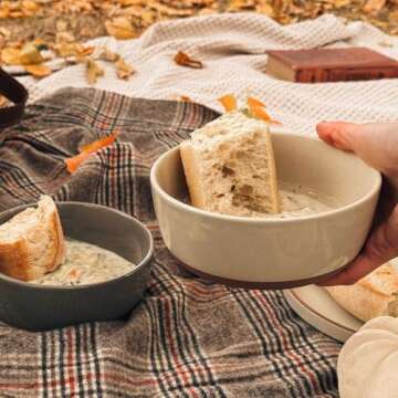 Set of 4 Porcelain Bowls, 25oz - Microwave, Dishwasher & Oven Safe for Soup, Cereal, etc.