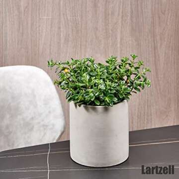 Lartzell Plant Pots, 4.7 Inch Planters for Indoor Plants, Grey Cement Flower Pot with Drain Hole, Modern Concrete Planters for Home Office & Outdoor Decor