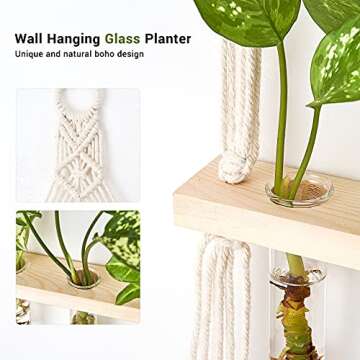 Mkono Wall Hanging Glass Planter with Macrame Hanger, Boho 2 Tier Propagation Tube Vase Plant Terrarium with Wooden Stand for Propagating Hydroponic Plants, Home Office Room Decor Women Gift Idea
