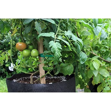 600-Gallon Smart Pot for Enhanced Plant Growth and Aeration