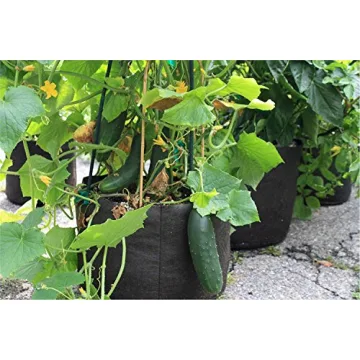 600-Gallon Smart Pot for Enhanced Plant Growth and Aeration