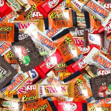 Delicious Chocolate Assorted Variety Pack - 2lb of Mini Bars