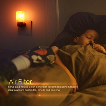 Syntus 2 Pack Himalayan Salt Lamp Natural Crystal Salt Light Glow Hand Carved Night Lights Wall Light, UL Listed Plug for Lighting, Decoration and Air Purifying