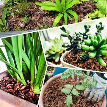 9 qt Organic Orchid Potting Bark -Natural Mulch for Potted Plants, Root Development of Orchid Plants and Garden Soil Amendment Mix