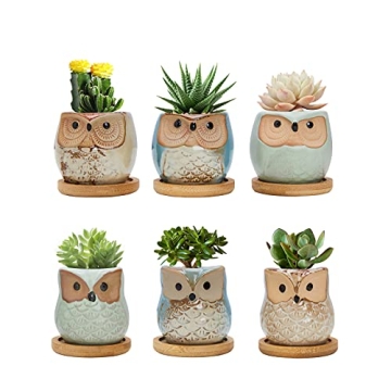 Warmplus 2.5 Inch Owl Succulent Plant Pots - 6 Pack Mini Ceramic Planters