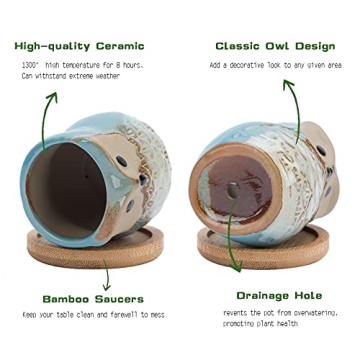Mini Owl Ceramic Succulent Plant Pots with Drainage Holes