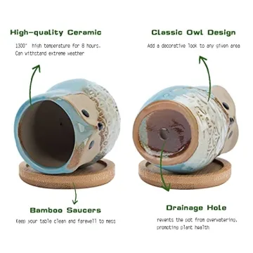 Mini Owl Ceramic Succulent Plant Pots with Drainage Holes