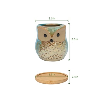 Mini Owl Ceramic Succulent Plant Pots with Drainage Holes