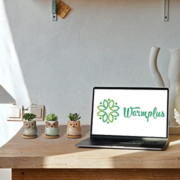 Mini Owl Ceramic Succulent Plant Pots with Drainage Holes