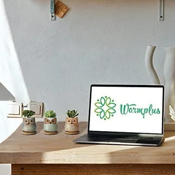 Mini Owl Ceramic Succulent Plant Pots with Drainage Holes