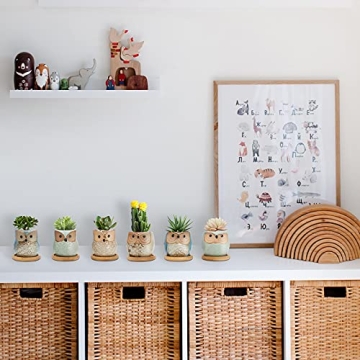 Mini Owl Ceramic Succulent Plant Pots with Drainage Holes