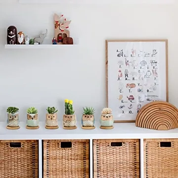 Mini Owl Ceramic Succulent Plant Pots with Drainage Holes