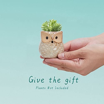 Mini Owl Ceramic Succulent Plant Pots with Drainage Holes