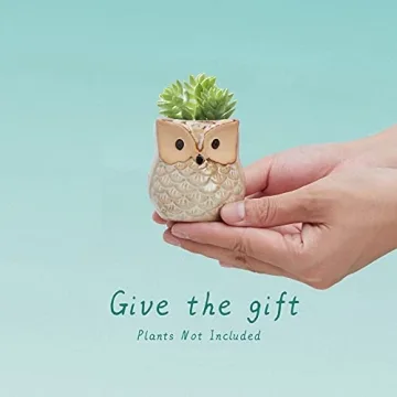 Mini Owl Ceramic Succulent Plant Pots with Drainage Holes