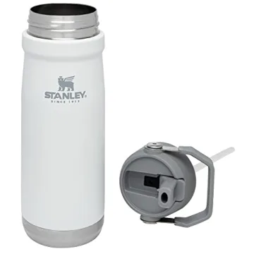 Stanley IceFlow 22oz Stainless Steel Water Jug for All