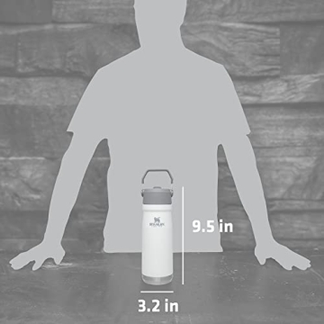 Stanley IceFlow 22oz Stainless Steel Water Jug for All