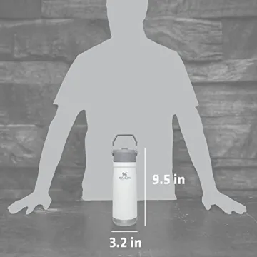 Stanley IceFlow 22oz Stainless Steel Water Jug for All