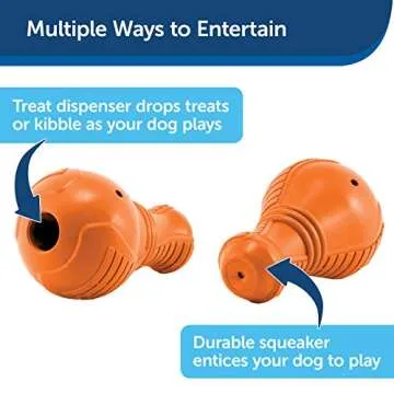 PetSafe Squeak n’ Treat Booya - Cure Boredom & Reduce Separation Anxiety - Food-Dispensing Dog Toy - Squeaker Encourages Play - Slow Down Eating - Helps Clean Teeth - Dishwasher Safe - Large