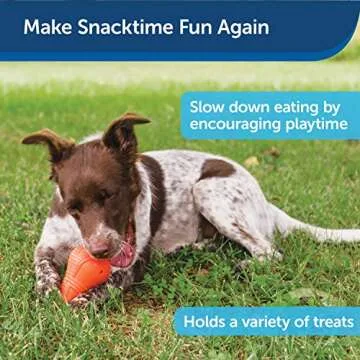 PetSafe Squeak n’ Treat Booya - Cure Boredom & Reduce Separation Anxiety - Food-Dispensing Dog Toy - Squeaker Encourages Play - Slow Down Eating - Helps Clean Teeth - Dishwasher Safe - Large