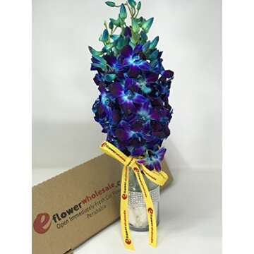eflowerwholesale - Premium Cut Blue Orchids (10 stems Orchid with Rhinestone Mesh Ribbon Vase)