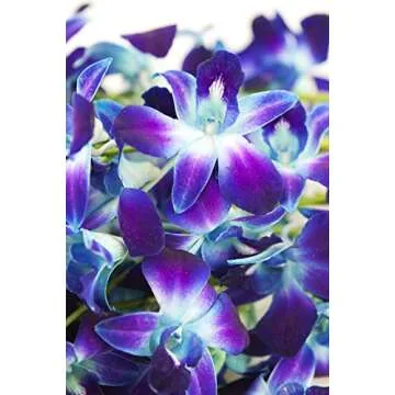 Premium Cut Blue Orchids with Rhinestone Vase