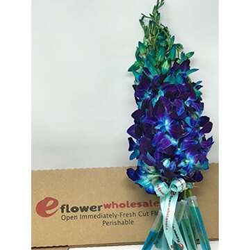eflowerwholesale - Premium Cut Blue Orchids (10 stems Orchid with Rhinestone Mesh Ribbon Vase)