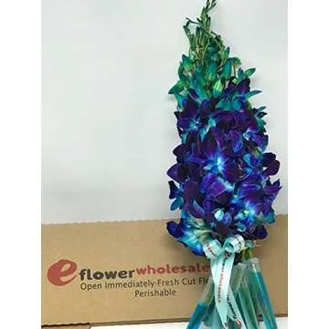 Premium Cut Blue Orchids with Rhinestone Vase