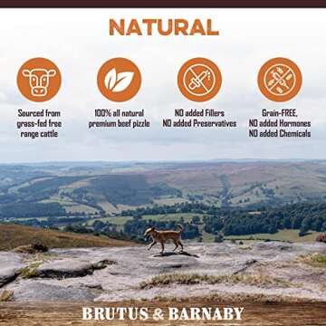 BRUTUS & BARNABY Grass Fed Bully Sticks for Dogs, Fully Digestible Dog chew, Grain Free, Rawhide Free, 100% Natural Beef, Small Batched for Freshness and Low Odor