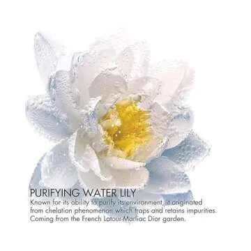 Dior La Mousse Off/On Foaming Face Cleanser - 5 Oz