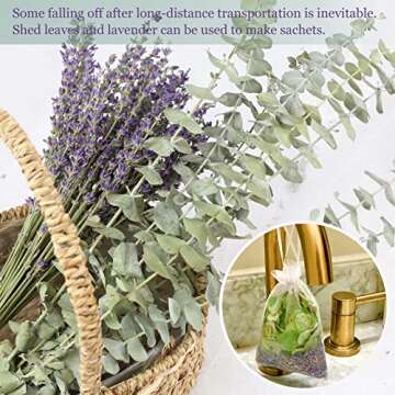 Glicrili 68 PCS Dried Eucalyptus Stems & Lavender Flowers Bundle for Shower,17'' Natural Real Live E...