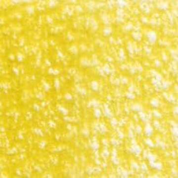 Holbein Artists' Colored Pencil - Mustard (OP165) for Vibrant Art Creations