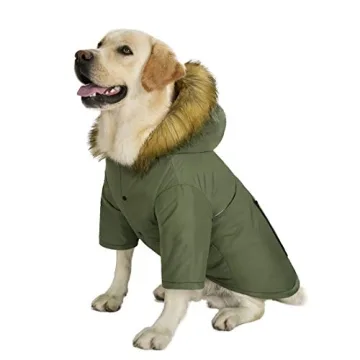 Large Dog Down Jacket for Cold Weather Comfort and Style