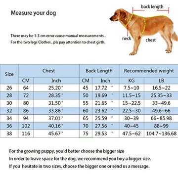 Large Dog Down Jacket for Cold Weather Comfort and Style