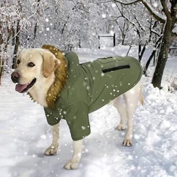 Large Dog Down Jacket for Cold Weather Comfort and Style