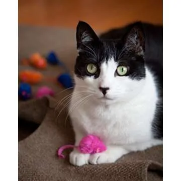 HARTZ Just For Cats Kitty Frenzy Catnip Mice - 12 Pack