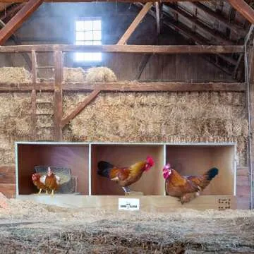 Rugged Ranch TRIPLEX RuggEgg Primitive Barn Wooden Chicken Coop Triple Nesting Egg Boxes for 3 Hens or Chickens, Natural Brown
