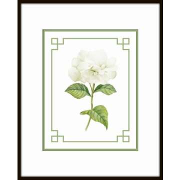 White Hydrangea Chinoiserie Set No. 1, Botanical Prints, Wall Art Prints, Vintage Wall Art, Vintage Wall Decor, Vintage Art Prints, Botanical Wall Decor (PAPER PRINT - UNFRAMED, 5X7 SET OF 4)
