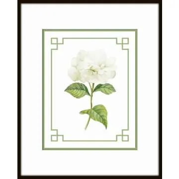 White Hydrangea Chinoiserie Set No. 1, Botanical Prints, Wall Art Prints, Vintage Wall Art, Vintage Wall Decor, Vintage Art Prints, Botanical Wall Decor (PAPER PRINT - UNFRAMED, 5X7 SET OF 4)