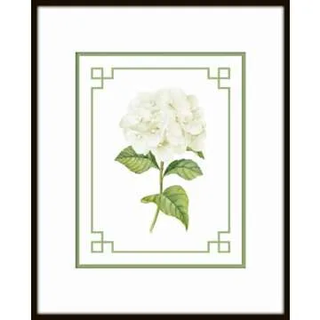 White Hydrangea Chinoiserie Set No. 1, Botanical Prints, Wall Art Prints, Vintage Wall Art, Vintage Wall Decor, Vintage Art Prints, Botanical Wall Decor (PAPER PRINT - UNFRAMED, 5X7 SET OF 4)