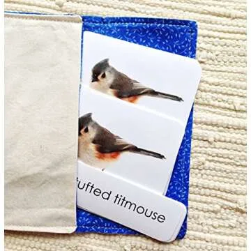 Birds 3-Part Reading Cards for Kids - Educational Fun
