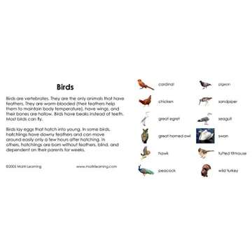 Birds 3-Part Reading Cards for Kids - Educational Fun