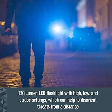 SABRE 2-in-1 Stun Gun with Flashlight & Belt Holster