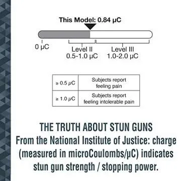 SABRE 2-in-1 Stun Gun with Flashlight & Belt Holster